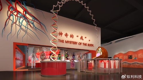 生命文化教育的重要性及其與安全健康體驗場館的對比分析